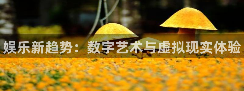 888贵宾会官网：娱乐新趋势：数字艺术与虚拟现实体验