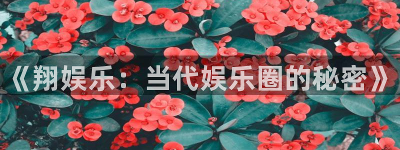 888贵宾会官网：《翔娱乐：当代娱乐圈的秘密》