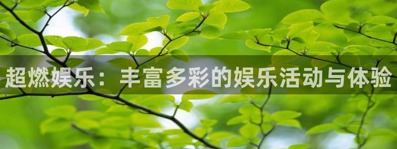 888贵宾会官网：超燃娱乐：丰富多彩的娱乐活动与体验