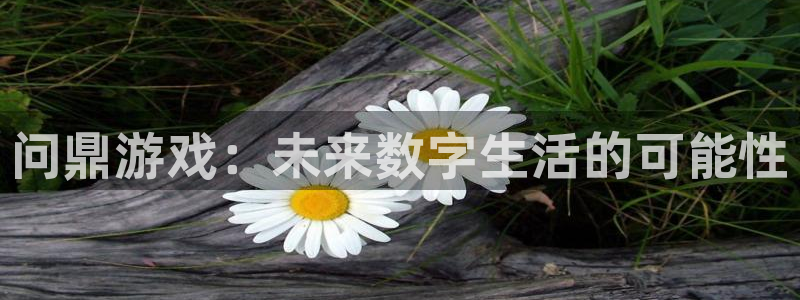 888贵宾会官网：问鼎游戏：未来数字生活的可能性