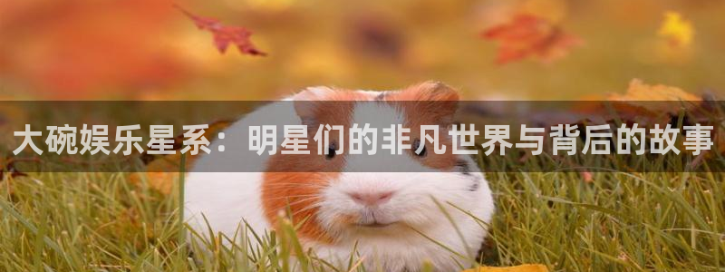 888贵宾会官网：大碗娱乐星系：明星们的非凡世界与背后的故事