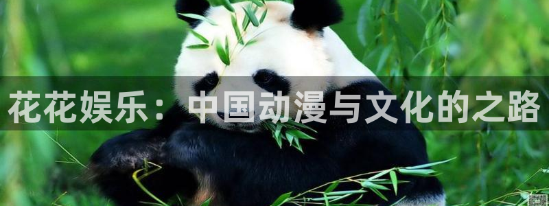 888贵宾会官网：花花娱乐：中国动漫与文化的之路